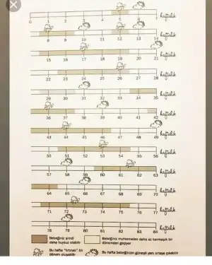 61490400_416511435858612_3152012874141917935_n.jpg