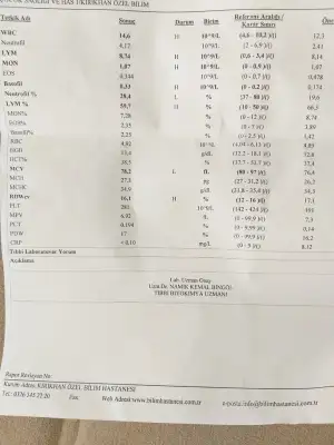 15618086872667319403507850241819.webp