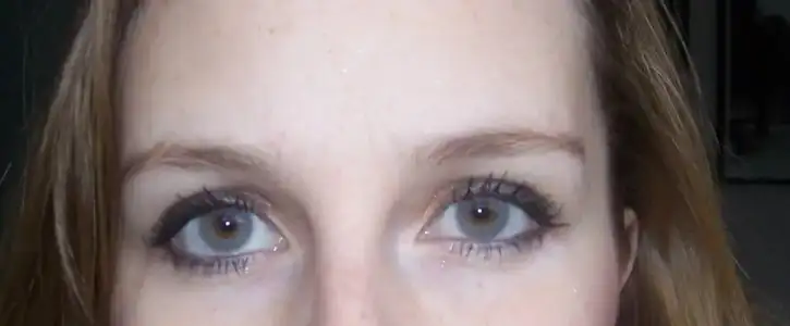 $freshlookmistygrey2.webp