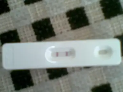 $21022012.webp