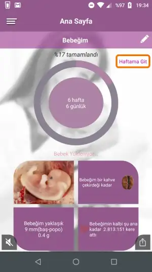 Screenshot_20190704-193419.webp
