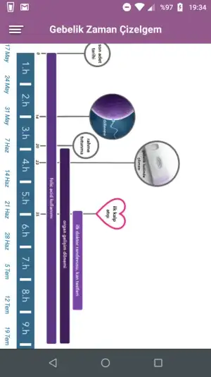 Screenshot_20190704-193404.webp