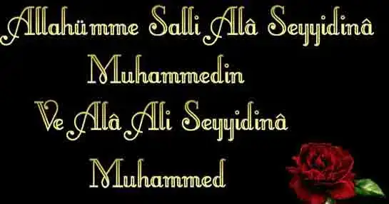 1562939221223.webp