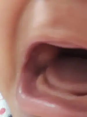 20190722_123536.webp