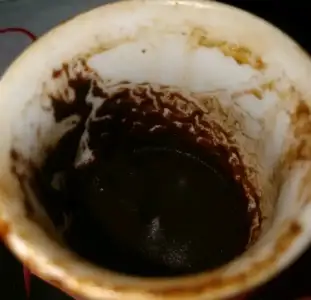screengrab-20190724-115423-1.webp