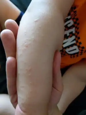 IMAG0225.webp