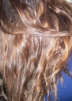 $fla&#351;l&#305; hali.webp