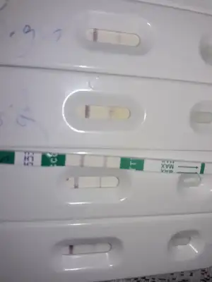 15650103474511568602399791399874.webp