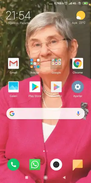 Screenshot_2019-08-05-21-54-27-813_com.miui.home.webp