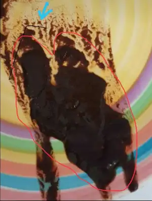 screengrab-20190807-152104-1.webp