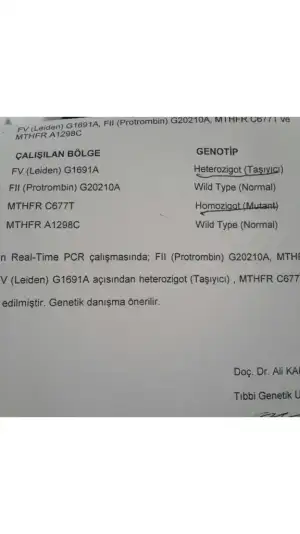 E674368E-FC68-4B3B-BC74-62C43002BEE4.webp