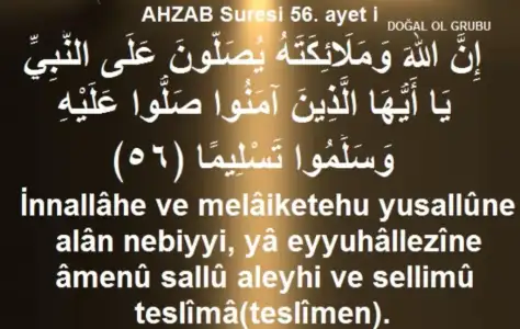 Screenshot_20190815_231345.webp
