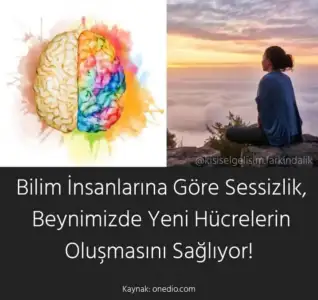3D6C986C-B9F6-44B3-869B-43911A9CD0F7.webp