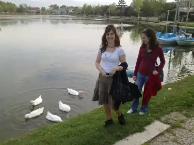 $04032010008.webp