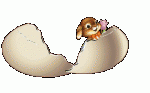 $fgpasqua272on0jp7.gif
