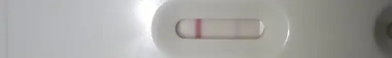 LEPİSTES.jpg