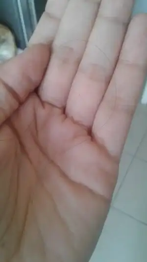 15676785742681448245876.webp