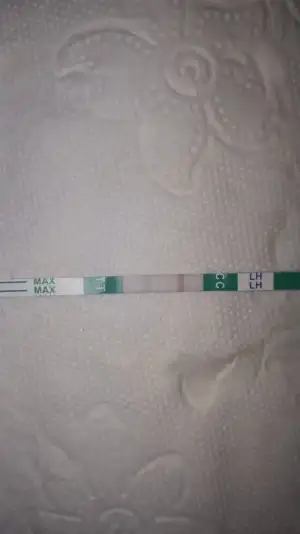 20190910_160356.webp