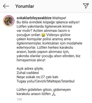 Screenshot_20190910-234556_Instagram.webp
