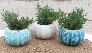 small-urchin-planters-set-of-3-6.png
