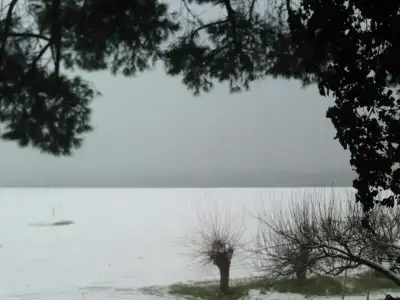 $P0126_020212.webp $P0126_020212.webp