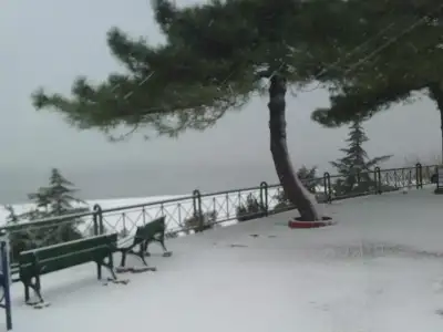 $P0128_020212.webp $P0128_020212.webp