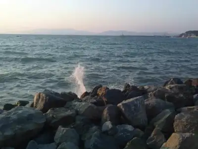 $P0141_030911.webp $P0141_030911.webp