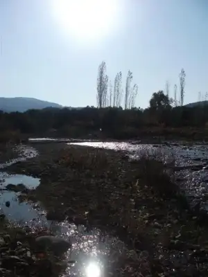 $DSCF1693 (1).webp $DSCF1693 (1).webp