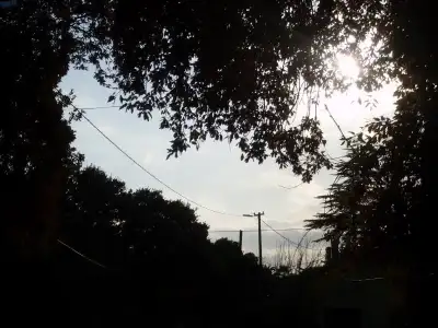 $SDC12528 (1).webp $SDC12528 (1).webp