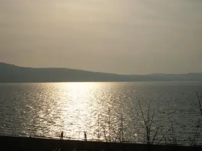 $SDC12536 (1).webp $SDC12536 (1).webp