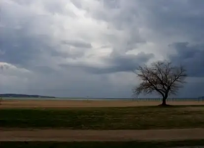 $SDC12652.webp $SDC12652.webp