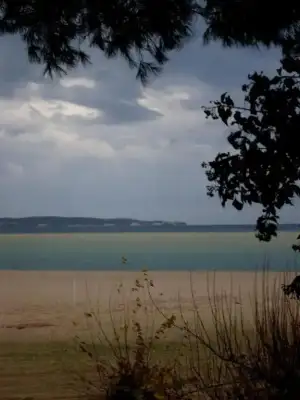 $SDC12654 (1).webp $SDC12654 (1).webp