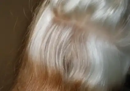 $boya.webp $boya.webp