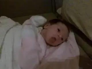 $15022010107.webp