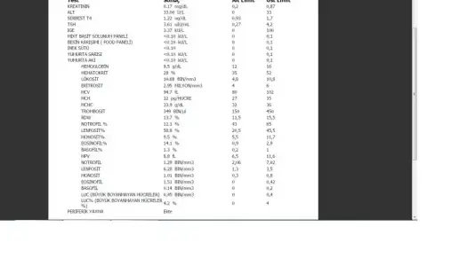 $Ads&#305;z.webp