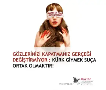 $hayatim_kac_para_kadin.webp