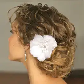 $hair1.webp