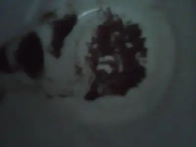 $Picture 3.webp