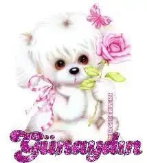 $426989_3227107604091_1458574581_32901122_217804083_n[1].webp
