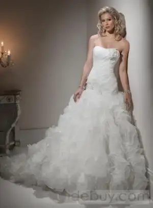 $1803931_2.webp