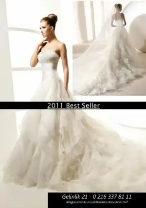$bs2011.webp $bs2011.webp