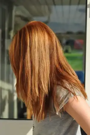 $dsc_0006_154242915.webp