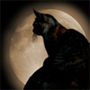 $11896162_1382357_3716741.gif $11896162_1382357_3716741.gif