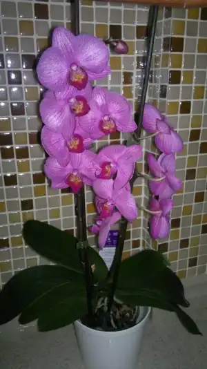 $2012-03-15-017.webp