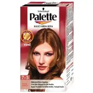 $palette_7_5.webp
