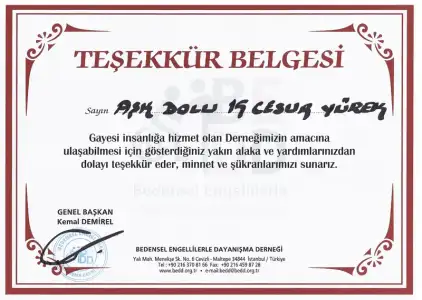 $ask_dolu.webp