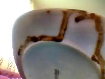 $Snapshot_20120321_10.webp