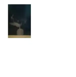 $rahim filmi 1.webp