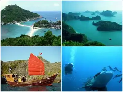 $activites-jungle-club-koh-samui.webp