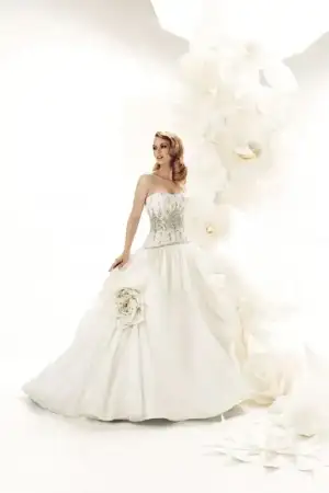 $72081.webp